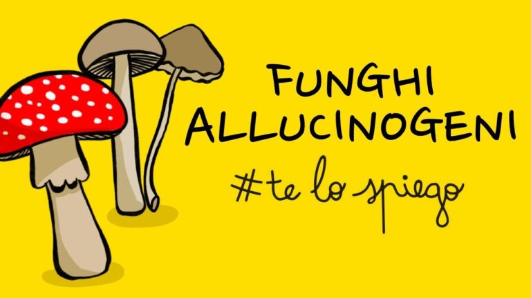 I funghi allucinogeni ora legali in Italia: viaggio nella psichedelia